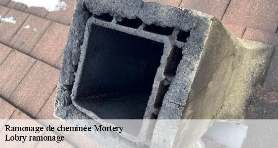 Ramonage de cheminée mortery-77160 Lobry ramonage