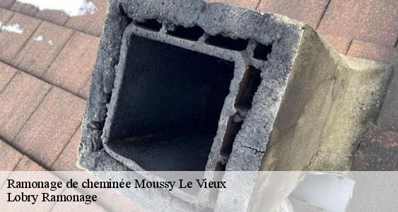 Ramonage de cheminée  moussy-le-vieux-77230 Lobry Ramonage