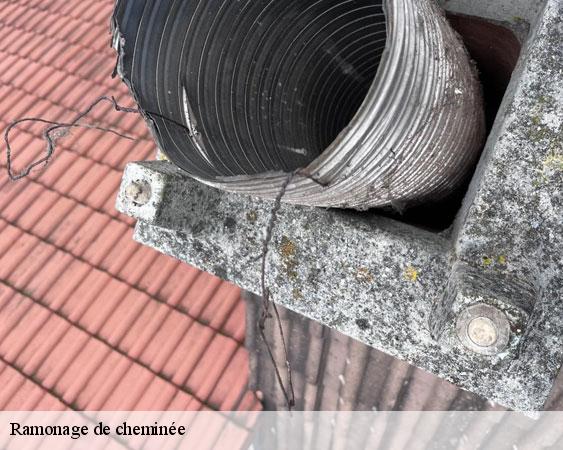 Ramonage de cheminée  reau-77550 Lobry Ramonage