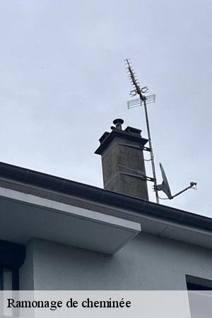 Ramonage de cheminée  sainte-colombe-77650 Lobry Ramonage