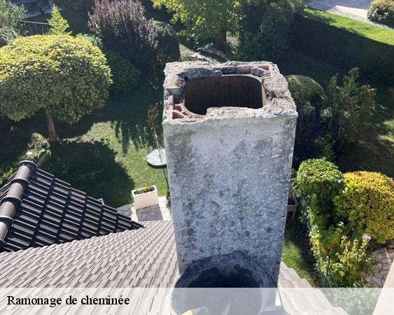 Ramonage de cheminée  saint-germain-sur-ecole-77930 Lobry Ramonage