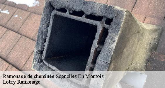 Ramonage de cheminée  sognolles-en-montois-77520 Lobry Ramonage