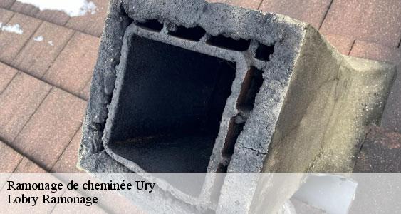 Ramonage de cheminée ury-77760 Lobry Ramonage