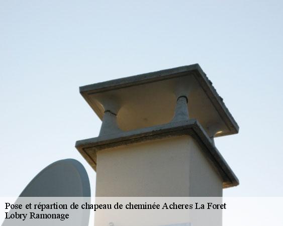Pose et répartion de chapeau de cheminée  acheres-la-foret-77760 Lobry Ramonage