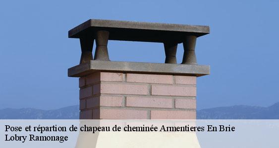 Pose et répartion de chapeau de cheminée  armentieres-en-brie-77440 Lobry Ramonage