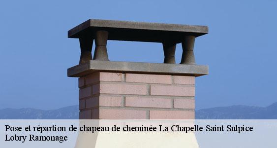 Pose et répartion de chapeau de cheminée  la-chapelle-saint-sulpice-77160 Lobry Ramonage
