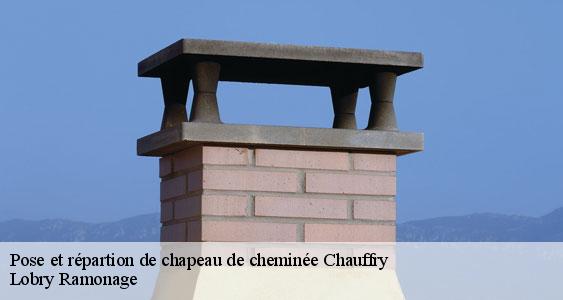 Pose et répartion de chapeau de cheminée  chauffry-77169 Lobry Ramonage