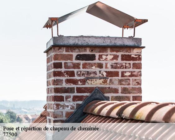 Pose et répartion de chapeau de cheminée  chelles-77500 Lobry Ramonage