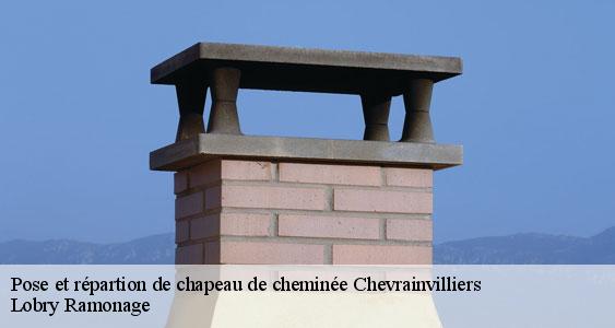 Pose et répartion de chapeau de cheminée  chevrainvilliers-77760 Lobry Ramonage