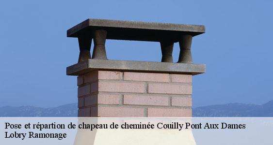 Pose et répartion de chapeau de cheminée  couilly-pont-aux-dames-77860 Lobry Ramonage