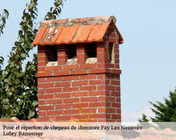Pose et répartion de chapeau de cheminée  fay-les-nemours-77167 Lobry Ramonage