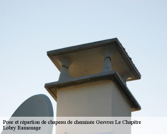 Pose et répartion de chapeau de cheminée  gesvres-le-chapitre-77165 Lobry Ramonage