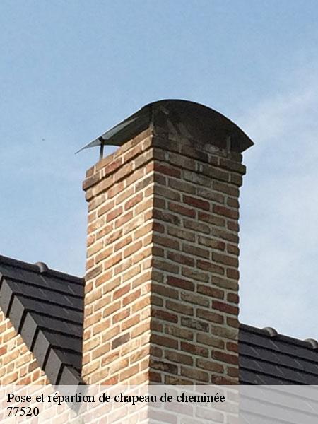 Pose et répartion de chapeau de cheminée  gurcy-le-chatel-77520 Lobry Ramonage