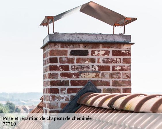 Pose et répartion de chapeau de cheminée  lorrez-le-bocage-preaux-77710 Lobry Ramonage