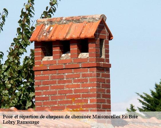 Pose et répartion de chapeau de cheminée  maisoncelles-en-brie-77580 Lobry Ramonage