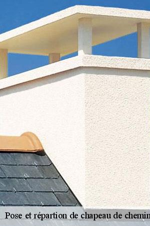 Pose et répartion de chapeau de cheminée mortcerf-77163 Lobry ramonage