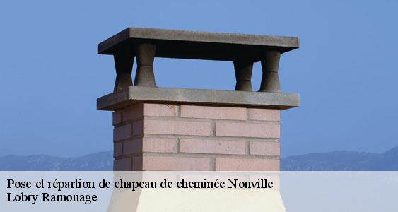 Pose et répartion de chapeau de cheminée nonville-77140 Lobry Ramonage