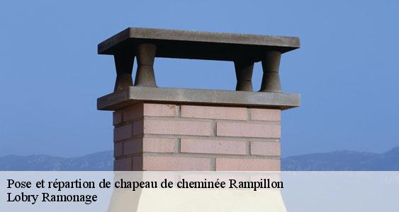 Pose et répartion de chapeau de cheminée  rampillon-77370 Lobry Ramonage