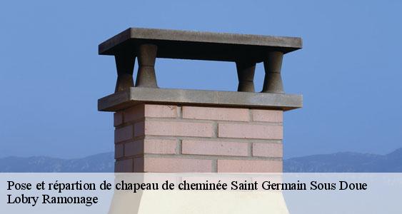 Pose et répartion de chapeau de cheminée  saint-germain-sous-doue-77169 Lobry Ramonage