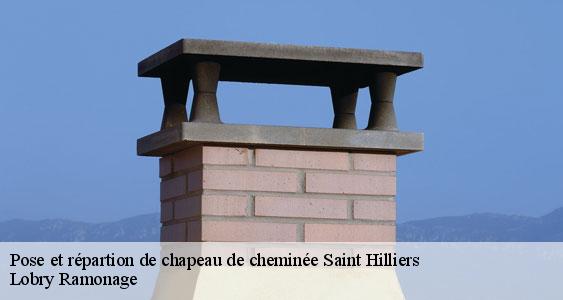 Pose et répartion de chapeau de cheminée  saint-hilliers-77160 Lobry Ramonage