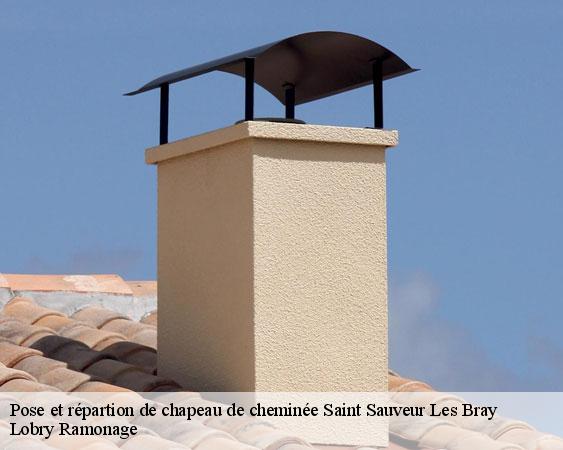 Pose et répartion de chapeau de cheminée  saint-sauveur-les-bray-77480 Lobry Ramonage