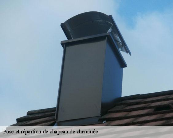 Pose et répartion de chapeau de cheminée  sammeron-77260 Lobry Ramonage