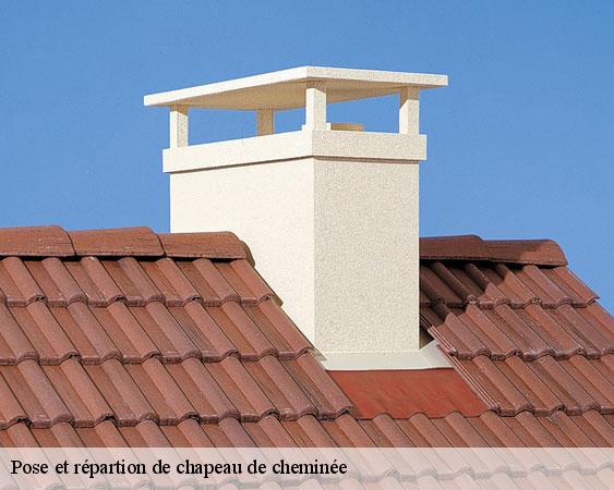 Pose et répartion de chapeau de cheminée  sognolles-en-montois-77520 Lobry Ramonage