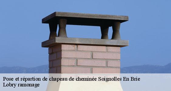 Pose et répartion de chapeau de cheminée  soignolles-en-brie-77111 Lobry ramonage