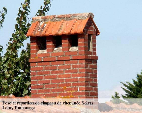 Pose et répartion de chapeau de cheminée  solers-77111 Lobry Ramonage