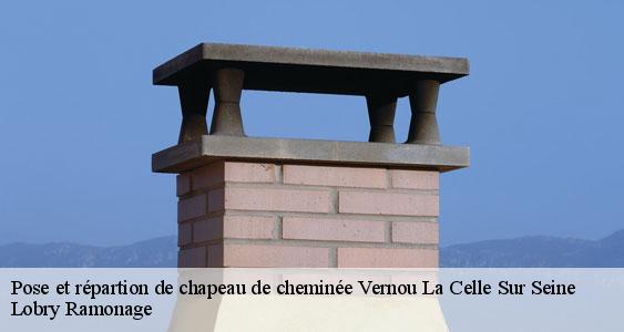Pose et répartion de chapeau de cheminée  vernou-la-celle-sur-seine-77670 Lobry Ramonage