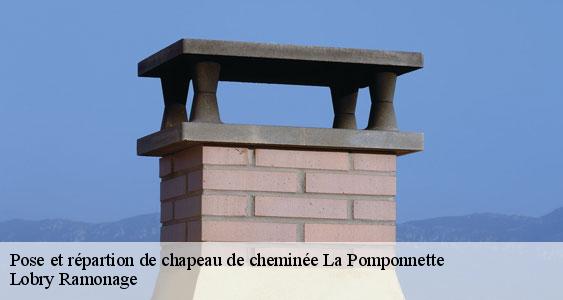 Pose et répartion de chapeau de cheminée  la-pomponnette-77400 Lobry Ramonage