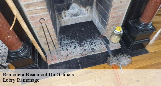 Ramoneur  beaumont-du-gatinais-77890 Lobry Ramonage
