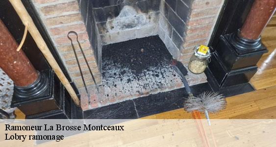 Ramoneur  la-brosse-montceaux-77940 Lobry ramonage