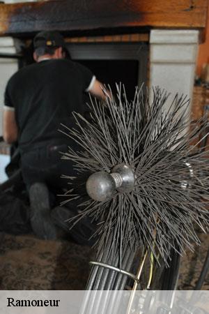 Ramoneur  chailly-en-biere-77930 Lobry Ramonage