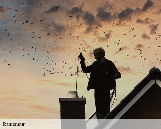 Ramoneur  misy-sur-yonne-77130 Lobry Ramonage