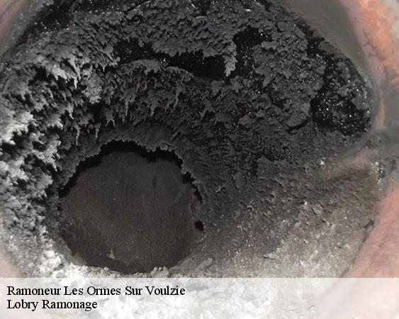 Ramoneur  les-ormes-sur-voulzie-77134 Lobry Ramonage