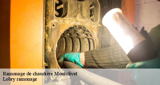 Ramonage de chaudière  montolivet-77320 Lobry ramonage