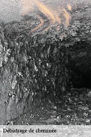 Débistrage de cheminée  sognolles-en-montois-77520 Lobry Ramonage