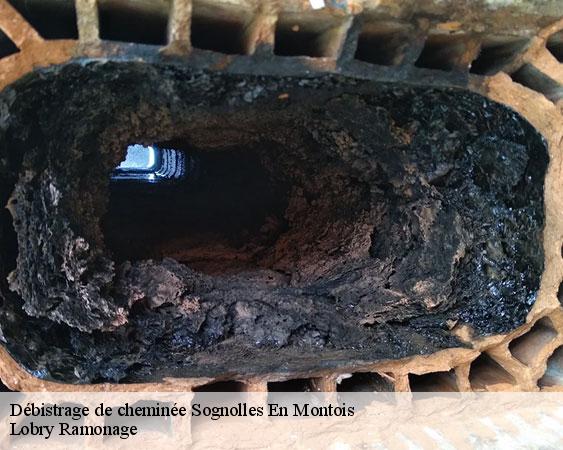 Débistrage de cheminée  sognolles-en-montois-77520 Lobry Ramonage