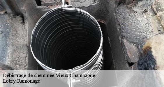 Débistrage de cheminée  vieux-champagne-77370 Lobry Ramonage